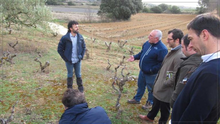 a-pie-de-vina-bodegas-amaren-luis-canas